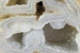 Unique, Druzy Agatized Fossil Coral Geode - Florida #66840-1